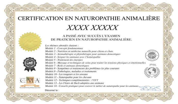 Formation en Naturopathie pour Animaux - École de Naturopathie Animalière